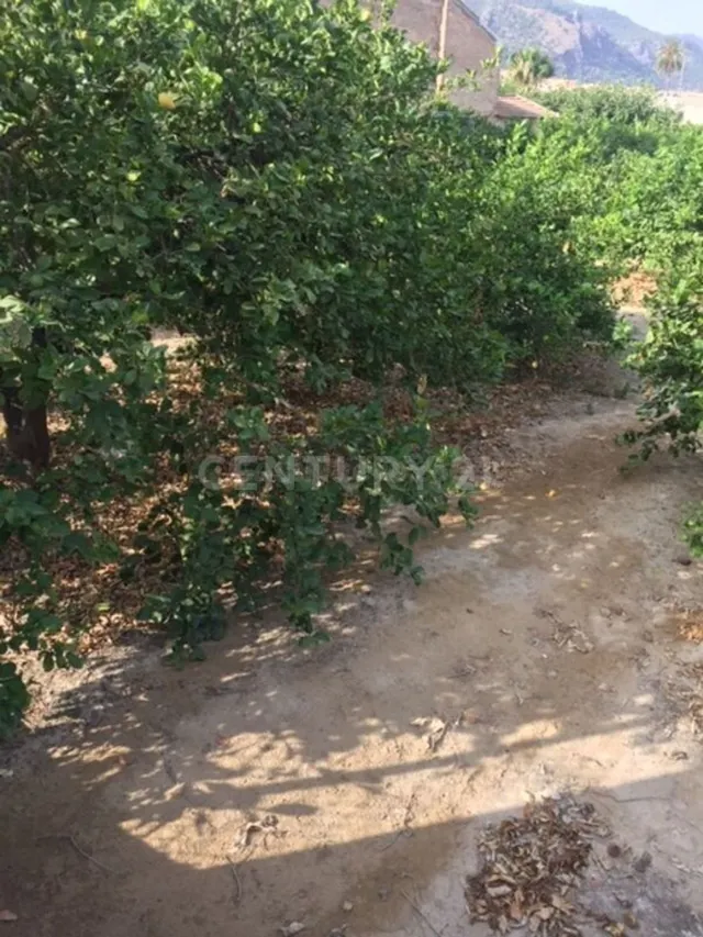 Terreno rural en venta - Aledo - foto 3