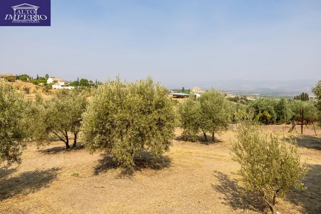 Encanto rústico con casita y olivos en Moraleja de Zafayona 🌿 — 43