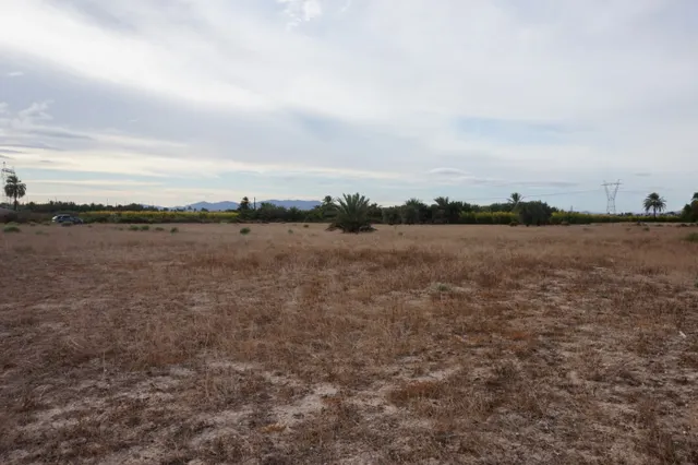 AMPLIA PARCELA DE 13000 M2 ZONA DE LA HOYA — 3
