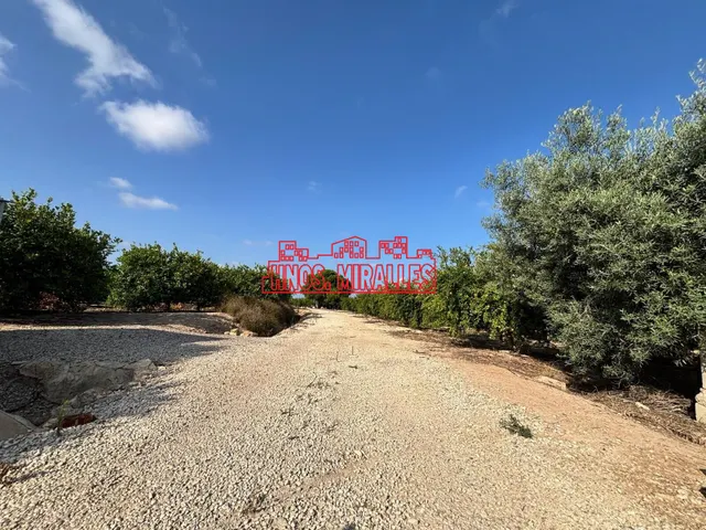 SE VENDE PARCELA EN CAMINO VIEJO DE SANTAPOLA PARA EDIFICAR. — 3
