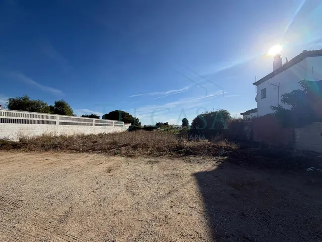 Terreno rural en venta - Pelagatos - Pago del Humo - foto 2