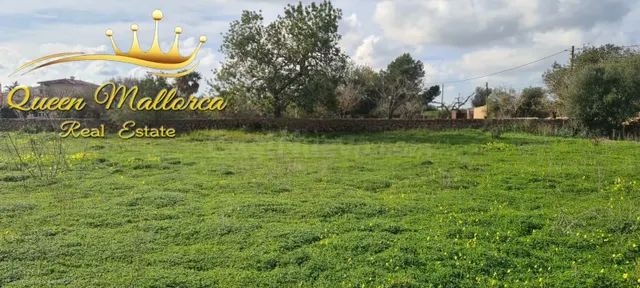 Terreno rústico en venta con excelente accesibilidad y vista - foto 2