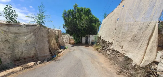 Oportunidad Única: Finca Agrícola de 64.894 m2 con Vistas al - foto 3