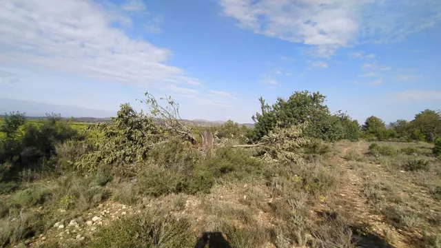 Se vende terreno de secano en Llíria. / HH Asesores, Inmobiliaria en Burjassot/ — 7