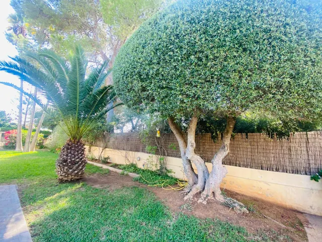 Encantadora casa en Bahia Grande, Llucmajor, con piscina, jardín mediterráneo y terrazas cubiertas — 21