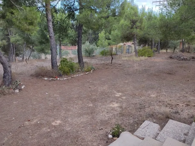 CASA DE CAMPO EN EL PARAJE DE SAN JOSE CON LUZ Y AGUA DOMÉSTICA — 11