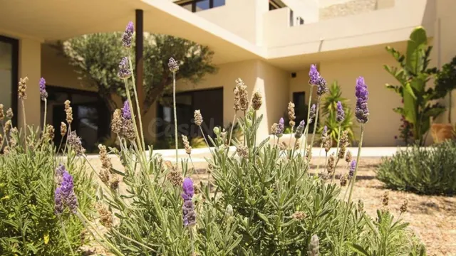 Villa 4 habitaciones 350m² en venta - La marina — 32
