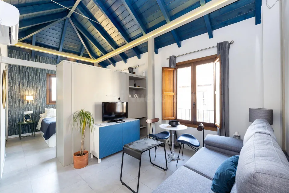 !!ESPECTACULAR VIVIENDA EN ALQUILER EN CALLE ELVIRA!!