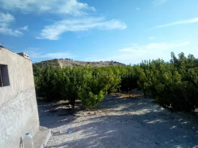 SE VENDE PARCELA EN MOLINA DE SEGURA - foto 2