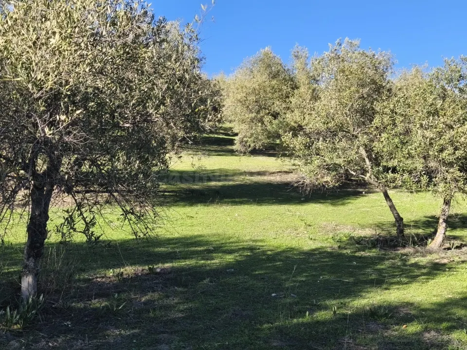 Terreno rural en venta - Sierra de huetor y la alfaguara