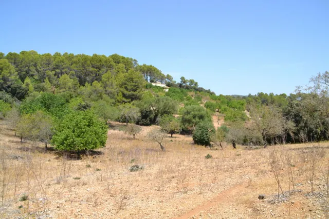 Finca rústica en Campanet — 14