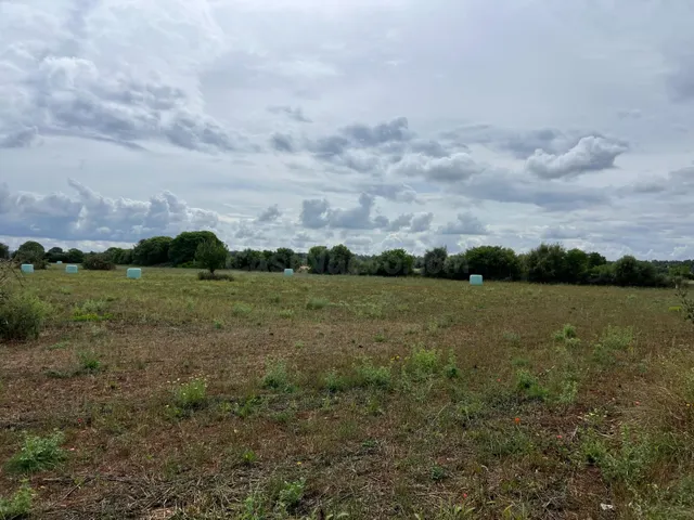 Terreno en Sencelles - foto 2