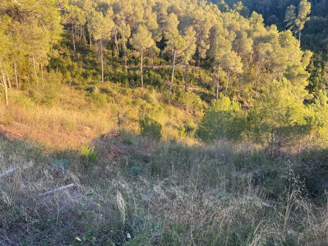 Fantastico terreno en Vallirana - En el sector el pinar, parte alta. — 11