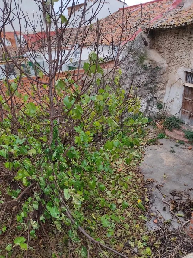 CASA UBICADA EN EL CASTO HISTÓRICO CON PATIO AMPLIO — 3