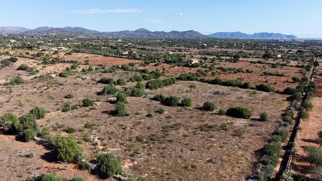 Terreno bien ubicado cerca de Porto Cristo - foto 2