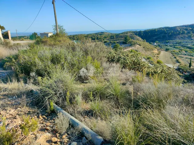 INMOBILIARIA SAN JOSE VENDE PARCELA RUSTICA EN ASPE ZONA BOR - foto 4