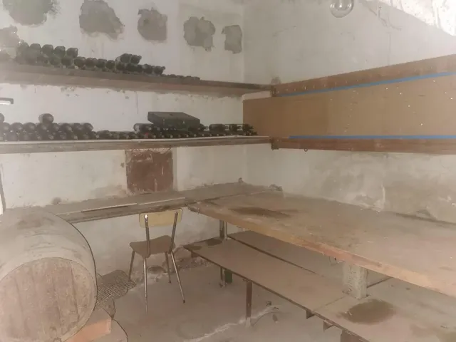 CASA CENTRICA EN ALMENAR — 22