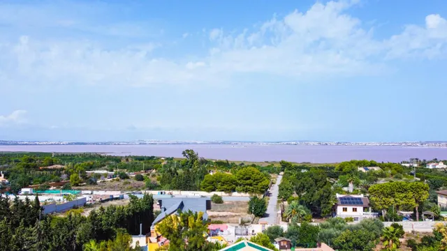 Apartamento 2 habitaciones 50m² en venta - Los Balcones - Los Altos del Edén — 22
