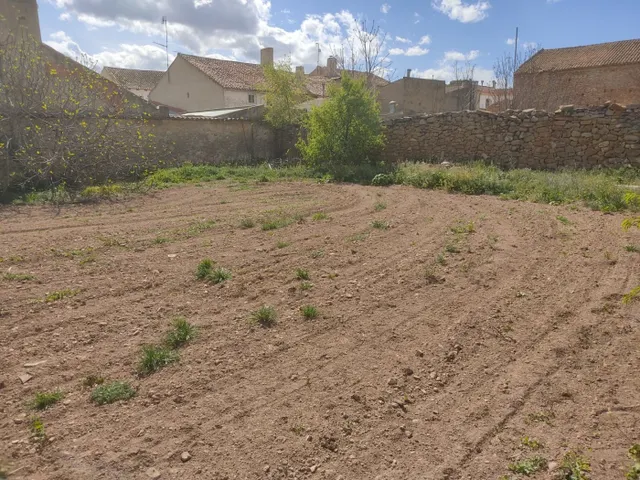 SOLAR DE 2.000 M2 EN ALPERA CON EXCELENTE UBIACION, REPARCELADO PARA LA construcción DE CASAS UNIF. — 8