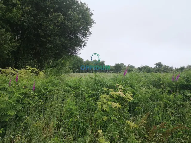 Terreno urbanizable en Santiago – Zona Amio, junto al mercad - foto 5