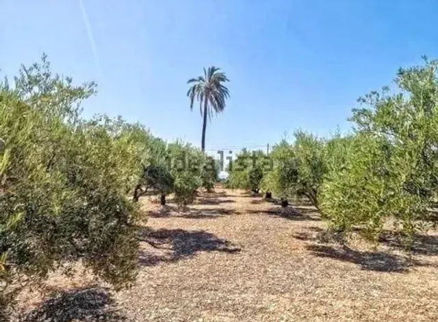 Terreno rustico a la venta