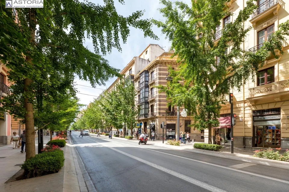 EXCLUSIVA ULTIMA PLANTA CON VISTAS EN GRAN VIA