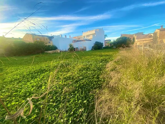Terreno extenso en Santa Margalida, oportunidad única - foto 5