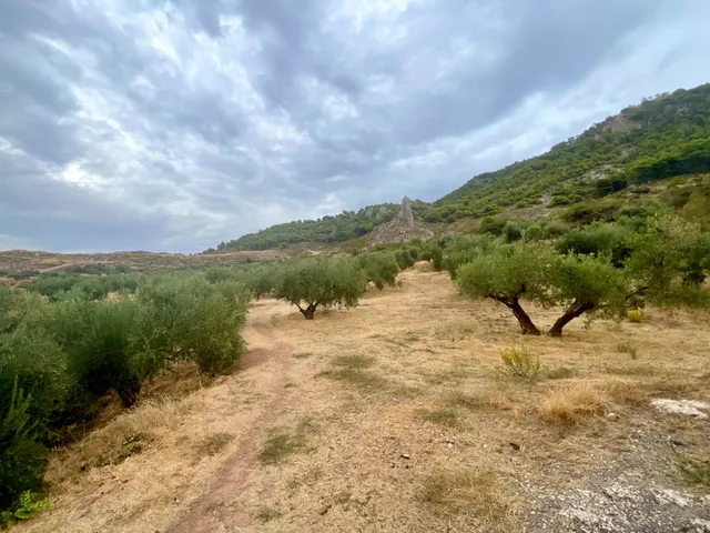 NIVAR - FINCA DE OLIVOS — 14