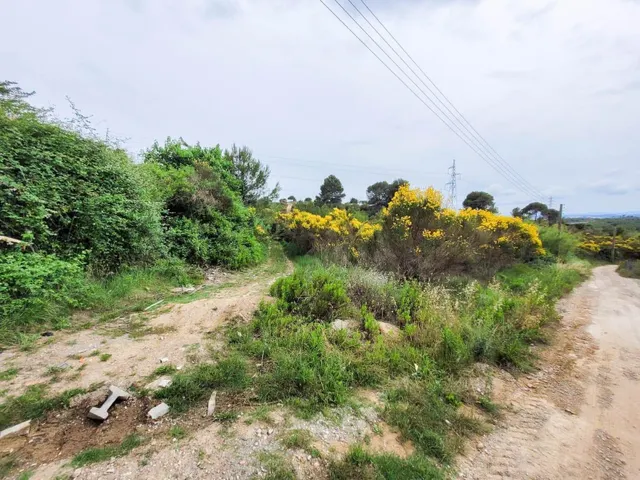 Terreno rústico de 10.735 m2 en Castellbisbal zona Can Nicolau de Dalt. — 22