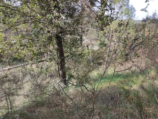 TERRENO EN VENTA EN LA URBANIZACION MASIA DEL SOLÀ (FINCA RUSTICA) MONISTROL DE CALDERS — 18