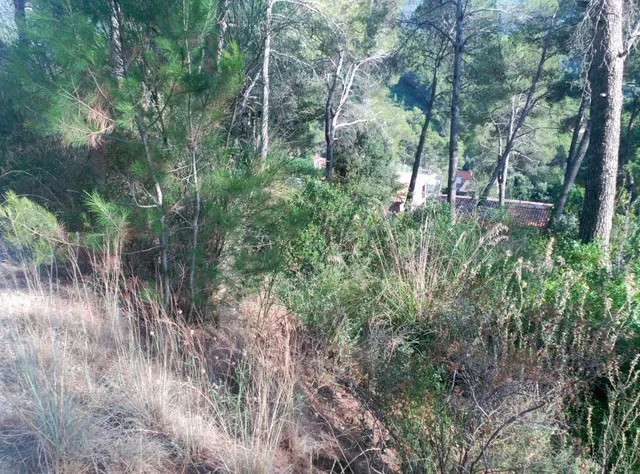 Espectacular terreno que da a dos calles, en Corbera de Llobregat, cerca Hotel Can Fisa. — 41