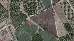 Terreno urbano 3550m² en venta - Metro villanueva de castell - foto 3