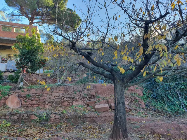 TERRENO URBANO EN VENTA EN URB CAN TAIO DE 1.048 M2 — 29