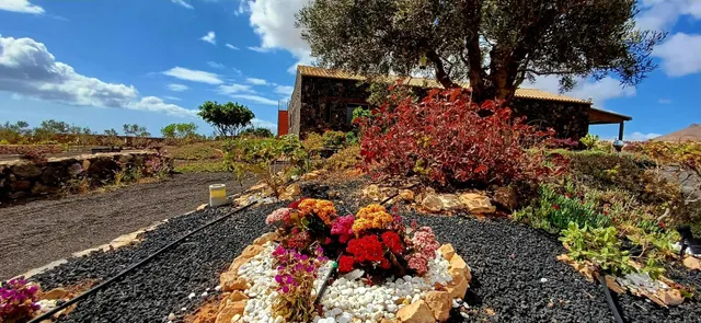 Finca de Lujo con Viñedo, Bodega Subterránea y Vistas Panorámicas al Atlántico — Fuerteventura — 8
