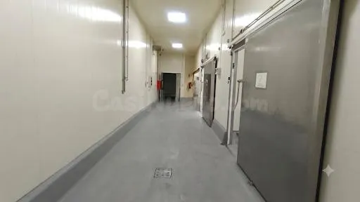 FANTÁSTICA NAVE CON CÁMARAS FRIGORÍFICAS. IDEAL PARA SECTOR  - foto 4