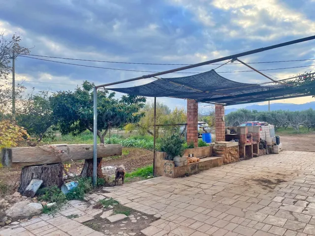 Chalet en Vinallop y plantación de olivos y mandarines en pr - foto 5