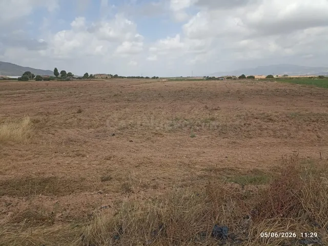 Terreno rústico de 10.621 m2 en Raiguero Bajo (Totana)