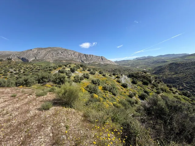Finca rústica en venta en Álora – 6,22 ha con 1.000 olivos y
