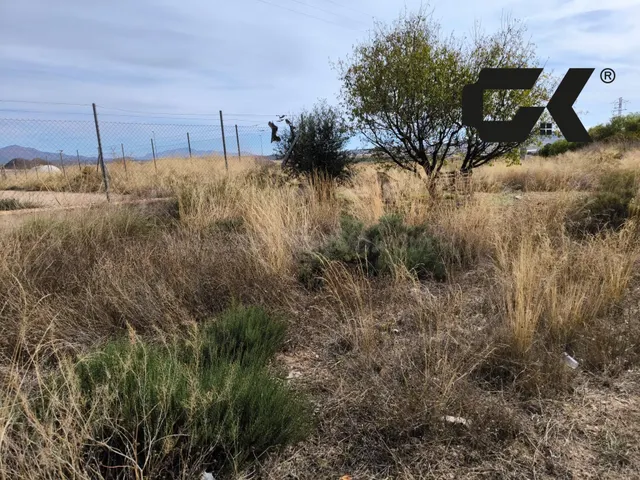 Parcela de 1.008 m2 en Zarcilla de Ramos, Lorca — entorno re - foto 4