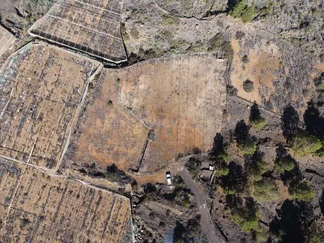 Terreno agrícola en Arguayo con posibilidades de explotación - foto 3