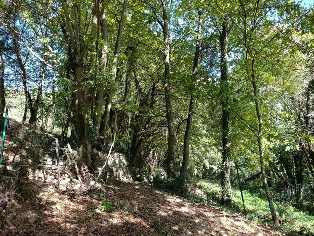Terreno urbano en venta - Trubia — 24