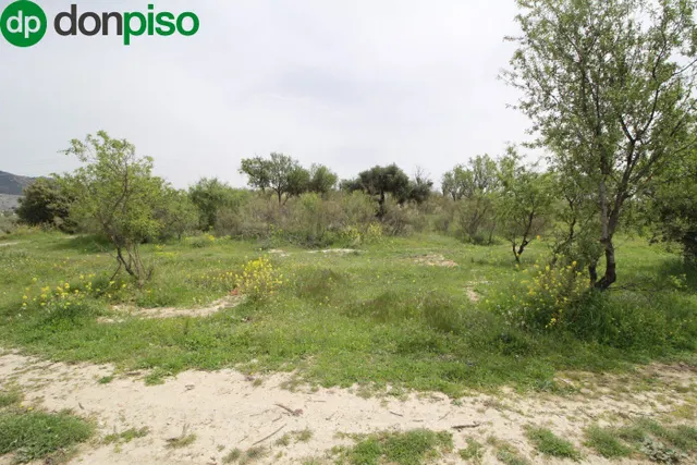 FINCA EN CORTIJO SAN JERÓNIMO (BARTODANO) — 44