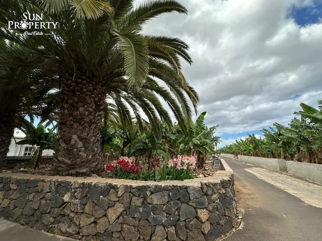 FINCA ECOLÓGICA CON GRAN CASA Y ALTO POTENCIAL DE INVERSIÓN — 31