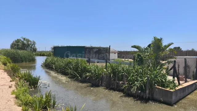 BARRACA TÍPICA DEL DELTA EN AMPOSTA - foto 3