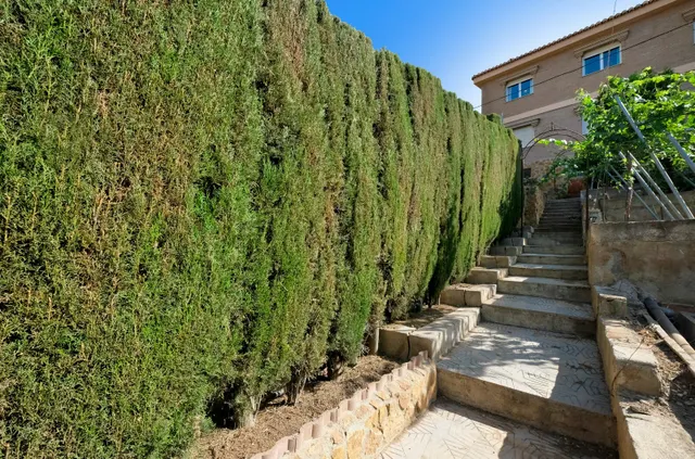Espectacular chalet-cortijo con encanto, piscina y vistas a Sierra Nevada en Padul — 15