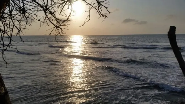 Venta de terreno con playas en sector de Punta Canoa — 9