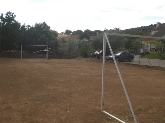 ESPECTACULAR CHALET CON PISCINA Y TERRENO — 5
