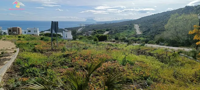 Se vende parcela en Urbanización Invespania - foto 4