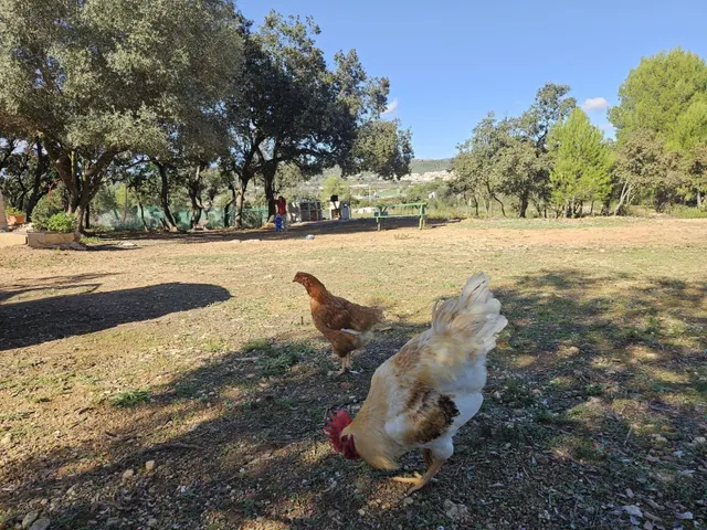Terreno para recreo vallado y con acceso por camino asfaltado — 32