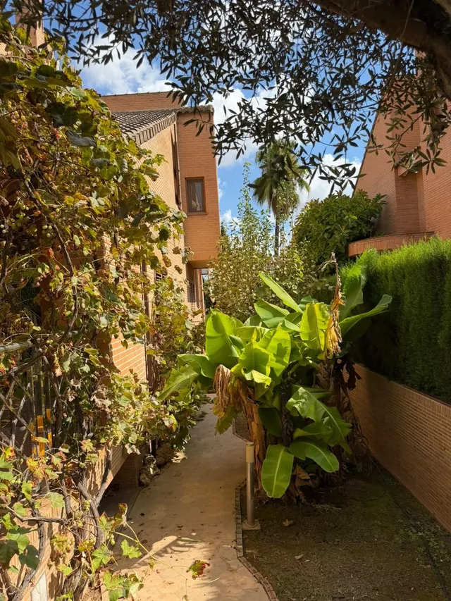 Casa 5 habitaciones 400m² en venta - Mas Camarena — 39